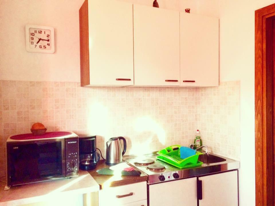 Apartment Emanuela Ровиньско село Экстерьер фото