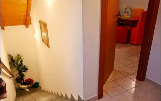 Apartment Emanuela Ровиньско село Экстерьер фото